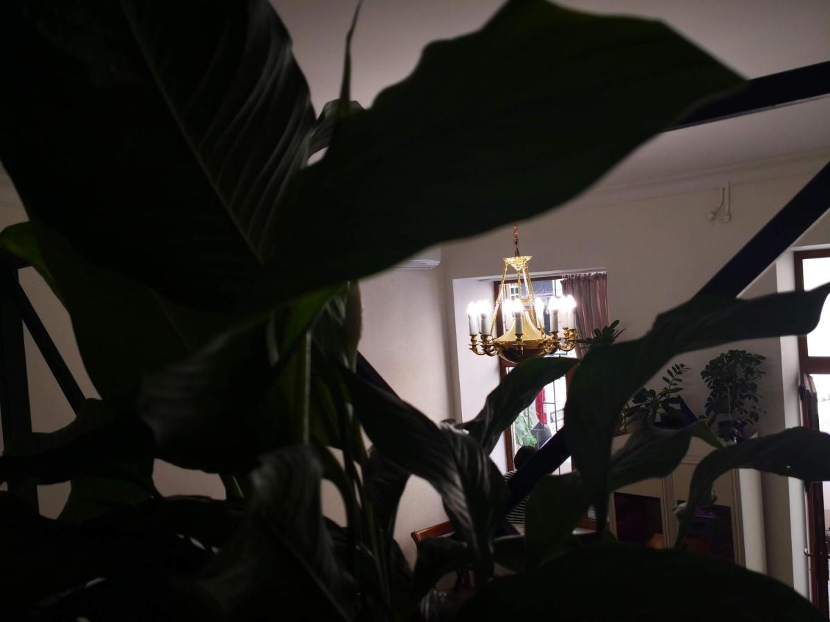 Затишні Апартаменти, Вулиця Дерибасівська, 13 オデッサ エクステリア 写真
